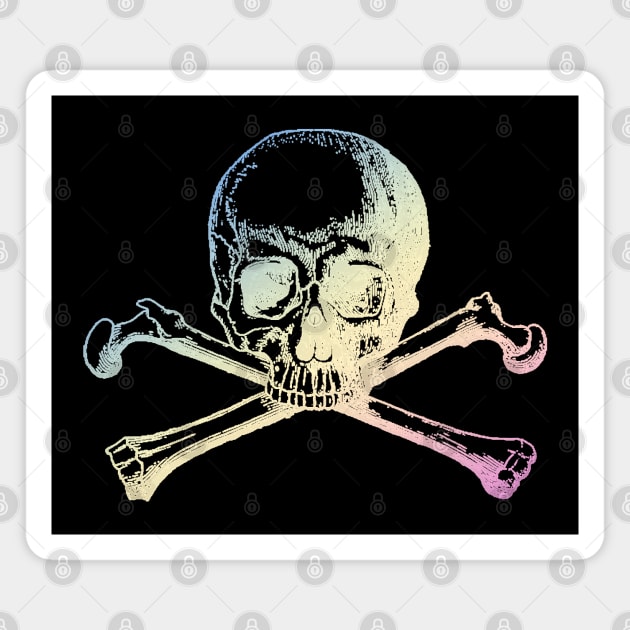 Pastel skull and crossbones Magnet by Blacklinesw9